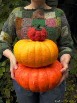 Вяжем крючком-2 - P9215136.JPG