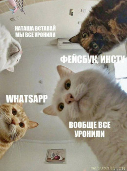 Новость дня - 4 - 7B7615CF-6EA1-4AF4-95AC-080E7C41FFBC.jpeg