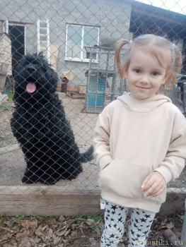 Я потеряла своего питомца  - IMG_20210504_174156.jpg