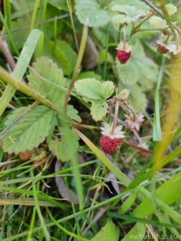 А что у нас с погодой? -6 - _nqOB8XX3dQ.jpg