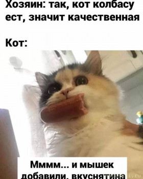 Кто там любит кошек? - ACefwscOQBA.jpg