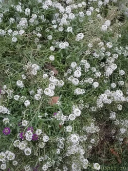 А что у нас с погодой? -6 - IMG_20211103_082330.jpg