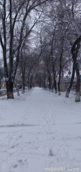 А что у нас с погодой? -6 - 20211112_080525.jpg