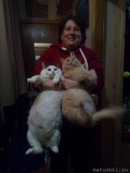 Любимая кошатинка  - IMG-20211110-WA0006.jpg