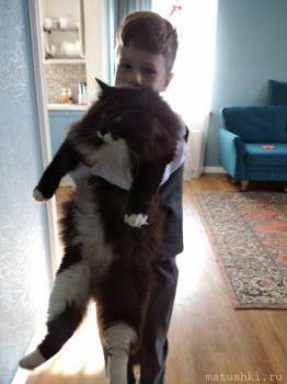 Любимая кошатинка  - IMG_20210901_102350_1.jpg