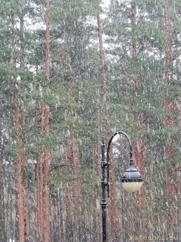 А что у нас с погодой? -6 - IMG_20211118_124028.jpg