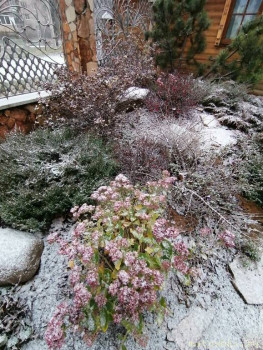 А что у нас с погодой? -6 - IMG_20211121_094947.jpg