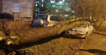 А что у нас с погодой? -6 - LwpWsLUvWA8.jpg