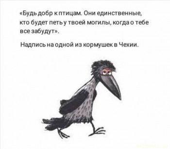 Памятки - fIqJYbCoAYE.jpg