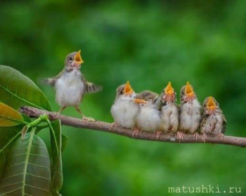 ВесЁлыЕ кАртинКи про нОтки, МУзыКу и т.п. - mFyCYBuHqoI.jpg