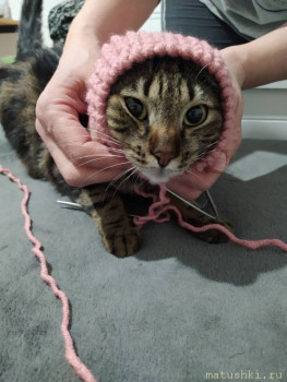 Любимая кошатинка  - IMG_20211128_230021_166.jpg