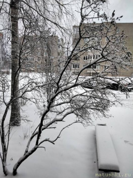 А что у нас с погодой? -6 - 20211130_100215.jpg