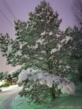 А что у нас с погодой? -6 - IMG_20211207_084733.jpg