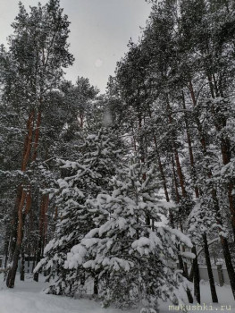 А что у нас с погодой? -6 - IMG_20211206_131552.jpg