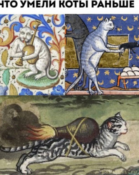 Страшнее кошки зверя нет  - IMG_20220102_204055.jpg