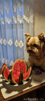 ПРИГЛАШАЕМ К РОЖДЕСТВЕНСКОМУ СТОЛУ  - 20220103_153341.jpg