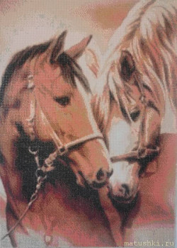 Алмазная мозаика вышивка  - IMG_20220317_160759_edit_524064745162220.jpg