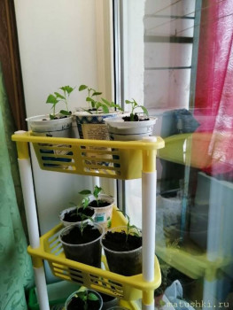 Наша дача - rFn3MGEwAmc.jpg