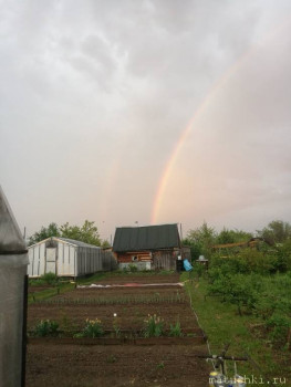 Наша дача - IMG-ad783b657944447efffa2c22ddb11046-V.jpg