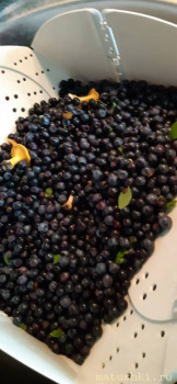 О путешествующих - photo_2022-07-01_18-32-13 (2).jpg