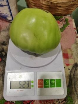 Наша дача - IMG_20220803_212055.jpg