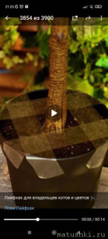 Наша дача - Screenshot_2022-11-27-21-23-22-504_org.telegram.messenger.jpg