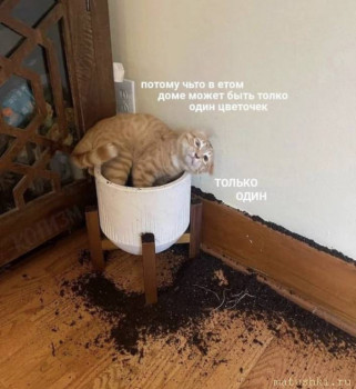 Наша дача - 01F3686A-37ED-4FCF-9DAD-EFD8768E598E.jpeg