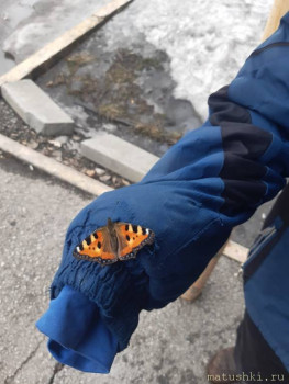 А что у нас с погодой? -6 - IMG-20230327-WA0030.jpg