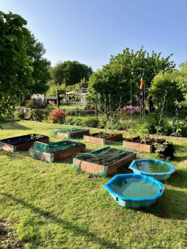 Наша дача - 394D4D7B-6E38-4FE0-894F-EC8AFEFABDCF.jpeg