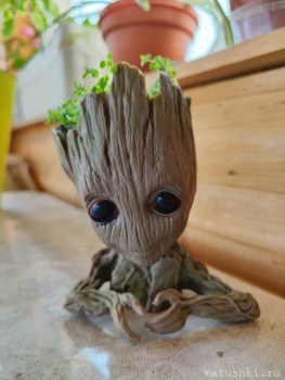 Наши цветы 2 - IMG_20230619_114512.jpg