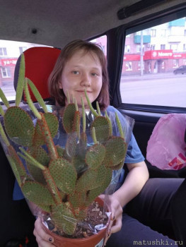 Дневник моего дня - IMG_20230709_160316.jpg