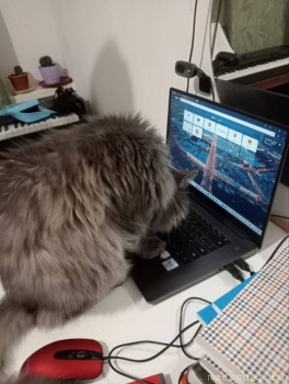 Мои домашние животные  - IMG_20231124_221505_573.jpg