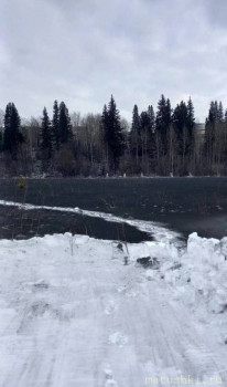 А что у нас с погодой? -6 - IMG_20240129_081928.jpg