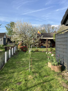 Наша дача - IMG_0377.jpeg