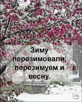 А что у нас с погодой? -6 - IMG_20240429_212347.jpg