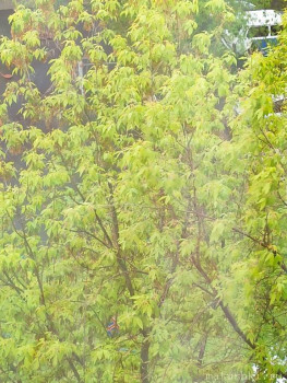 А что у нас с погодой? -6 - IMG_20240507_123019.jpg