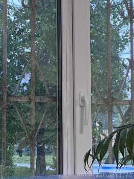 А что у нас с погодой? -6 - IMG_7246.jpeg