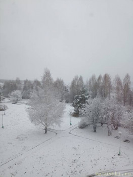 А что у нас с погодой? -6 - IMG_20241030_090239.jpg