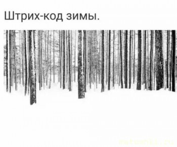 А что у нас с погодой? -6 - photo_2024-12-11-09.39.03.jpeg