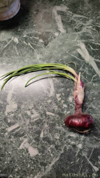 Тема для КОРОТКИХ вопросов - 7 - IMG20241220231600.jpg