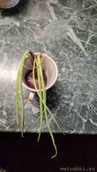 Тема для КОРОТКИХ вопросов - 7 - IMG20241220231615.jpg