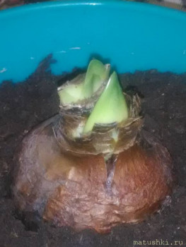 Тема для КОРОТКИХ вопросов - 7 - P_20241221_143216.jpg