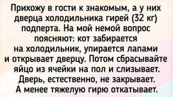 Любимая кошатинка  - scale_720 (2).jpeg