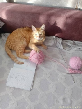 Любимая кошатинка  - IMG_20241227_115144.jpg