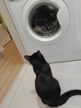 Любимая кошатинка  - IMG_20241229_131724.jpg