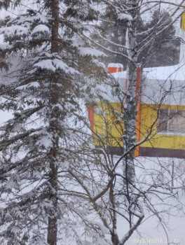 А что у нас с погодой? -6 - IMG_20250106_144955.jpg