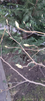 А что у нас с погодой? -6 - 20250107_165022.jpg