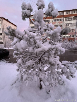 А что у нас с погодой? -6 - IMG_1946.jpeg