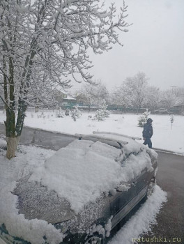 А что у нас с погодой? -6 - IMG_20250319_113720.jpg