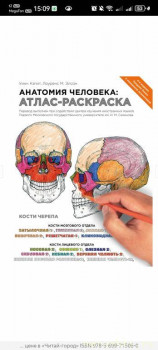 Раскраски... для взрослых - Screenshot_20250328_150907_com.yandex.browser.jpg